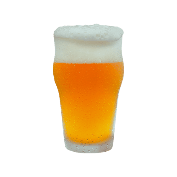 IPA Beer