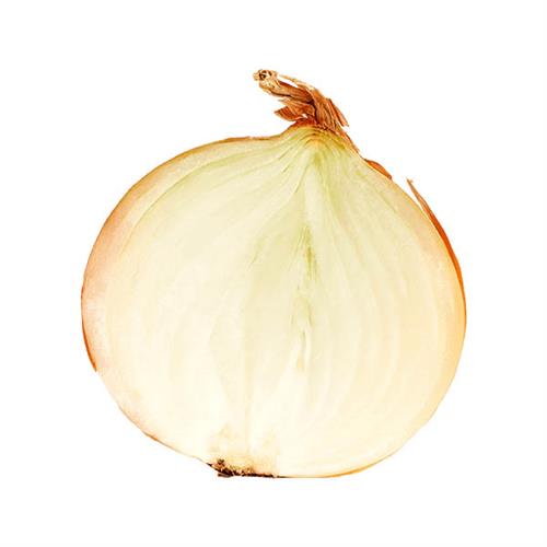 Onion 12"