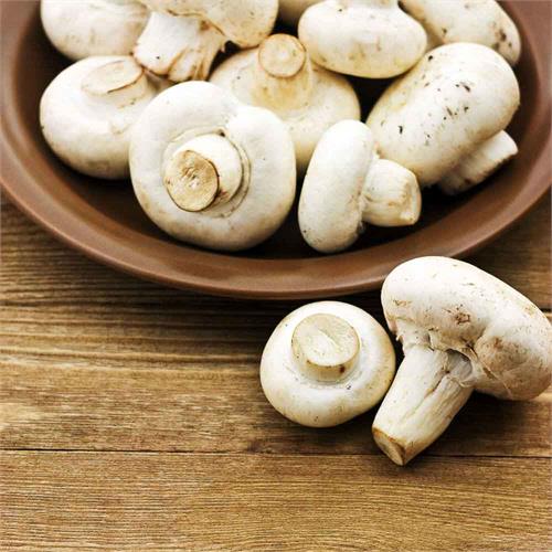 Mushroom 12"