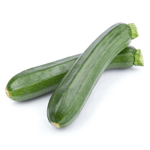 Zucchini 12"