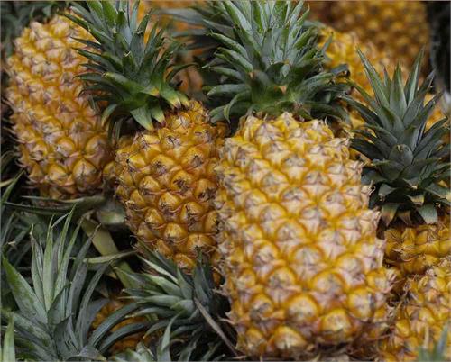 Pineapple 9" Half