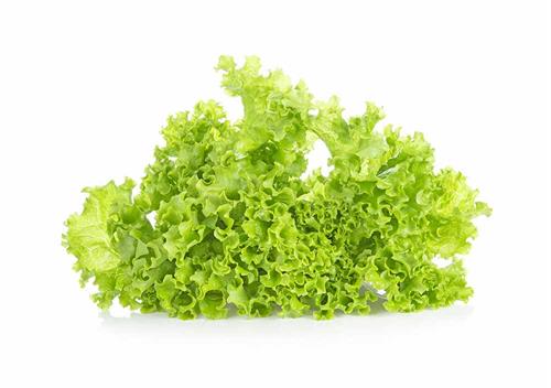 Iceberg salad