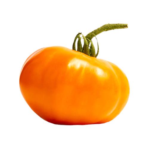 Beef Tomato