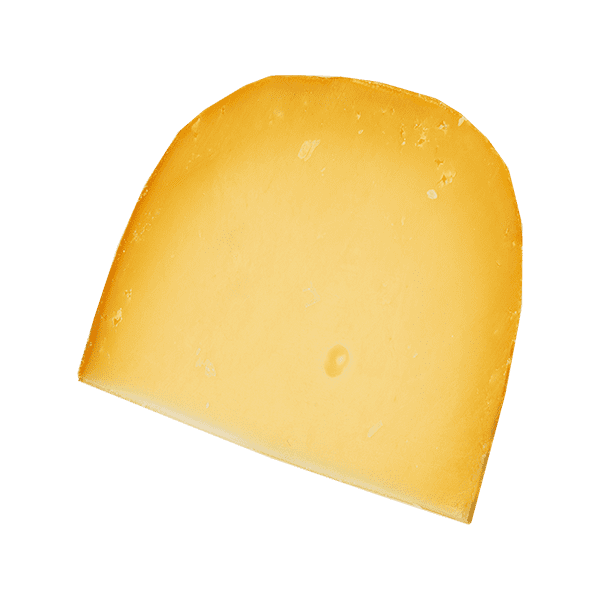 Gouda Cheese
