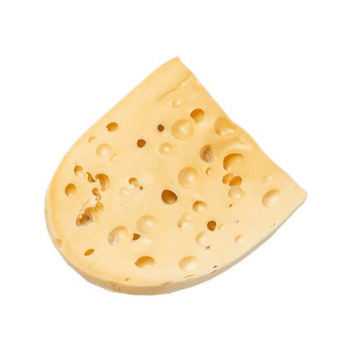 Swiss Cheese Slice